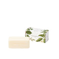 Apotheca
