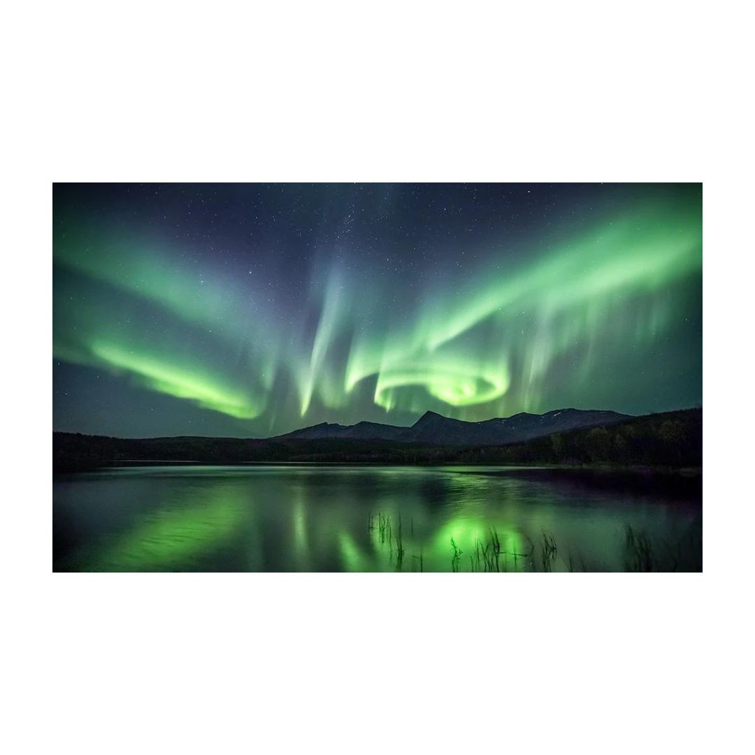 Dancing Light